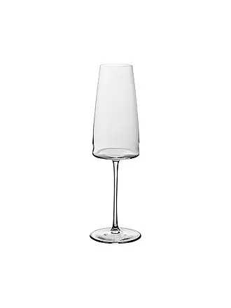 VILLEROY & BOCH SIGNATURE | Sektglas 2er METROCHIC 450 ml | 